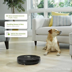 iRobot Roomba 675 Robot Vacuum With Wi-Fi Connectivity