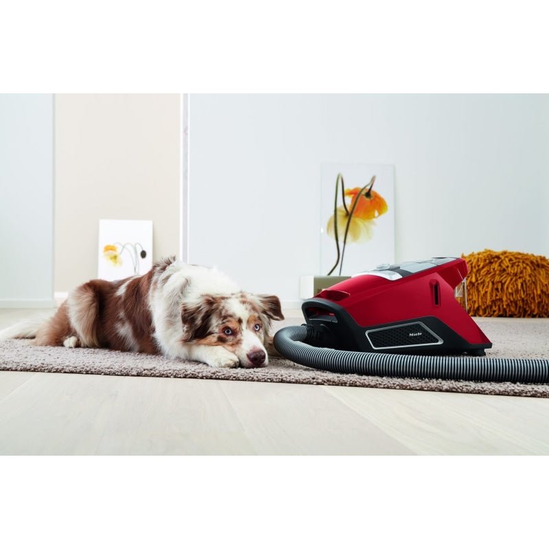 Miele Blizzard CX1 Cat & Dog Turbo PowerLine Bagless Canister Vacuum