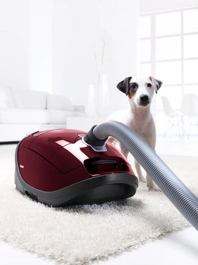 Miele C3 Limited Edition Canister Vacuum Cleaner